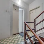 Mirta